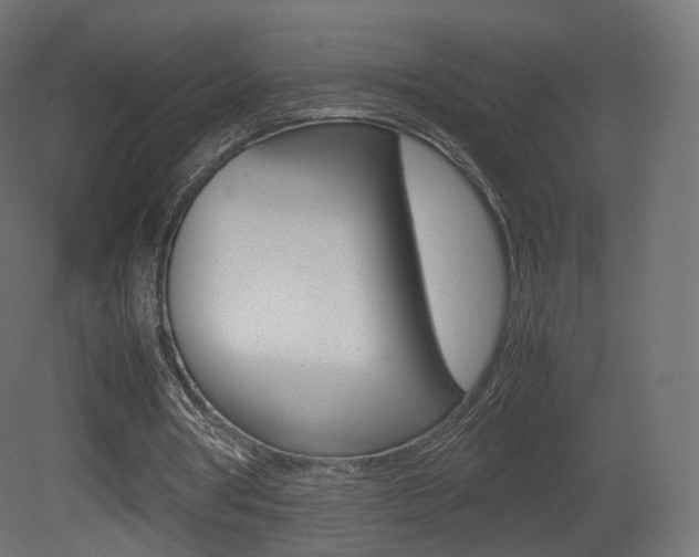X0000081490386200701121118