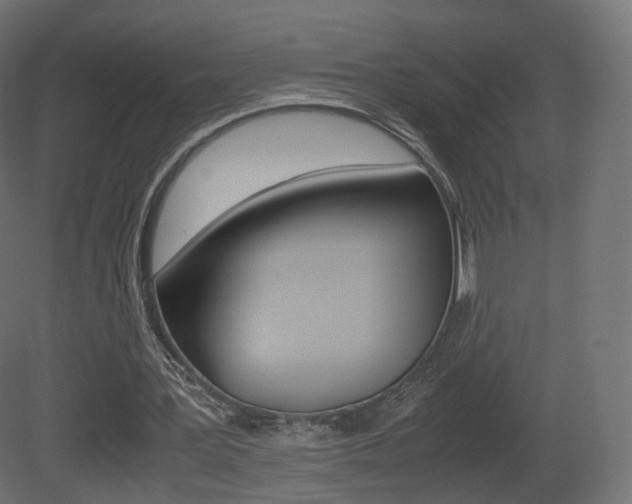 X0000081490387200701121118
