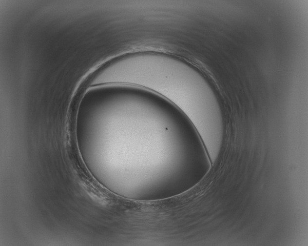 X0000081490388200701121118