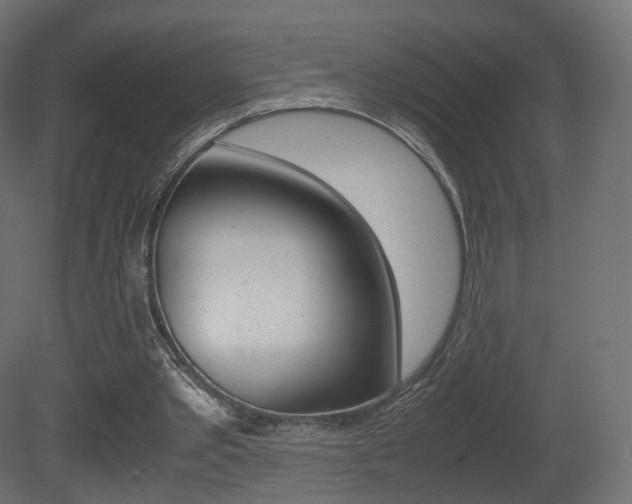 X0000081490389200701121118