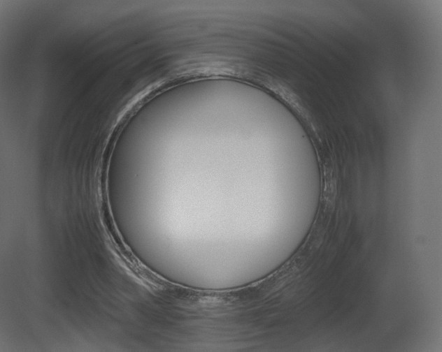 X0000081490390200701121118