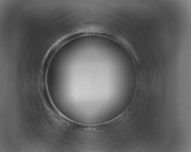 X0000081490392200701121118