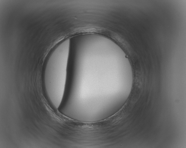 X0000081490394200701121118