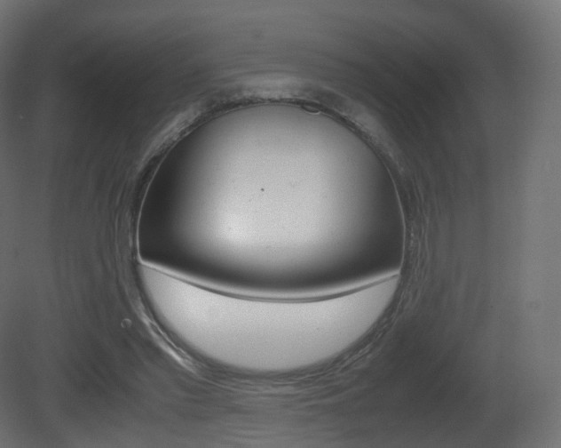 X0000081490397200701121118