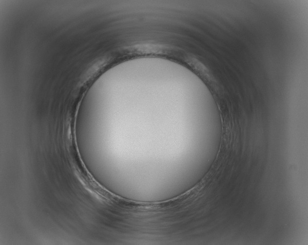 X0000081490398200701121118