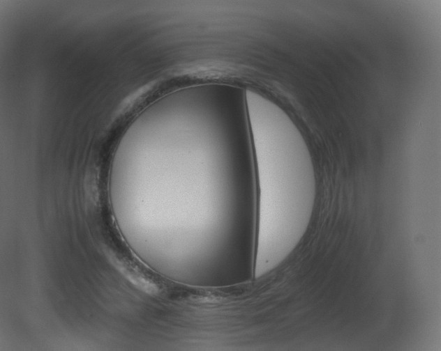 X0000081490400200701121118
