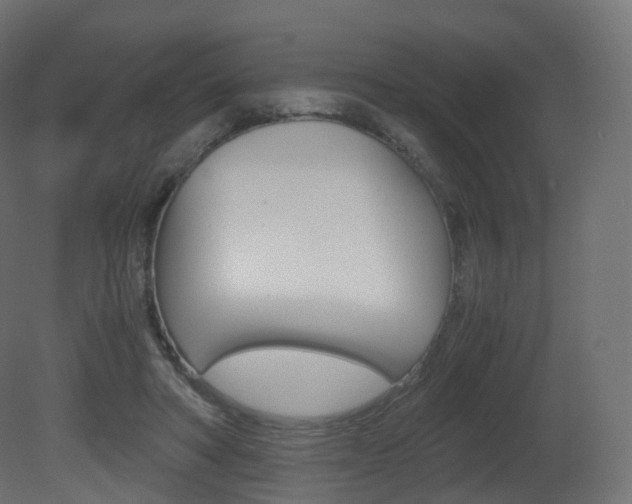 X0000081490402200701121118