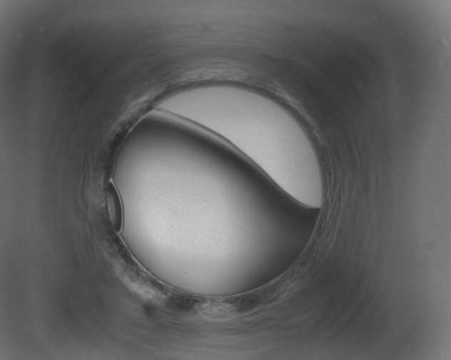 X0000081490403200701121118
