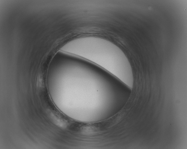X0000081490408200701121117