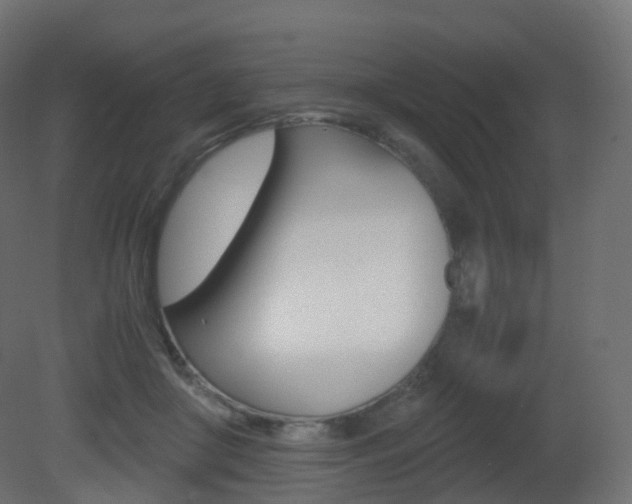 X0000081490410200701121117
