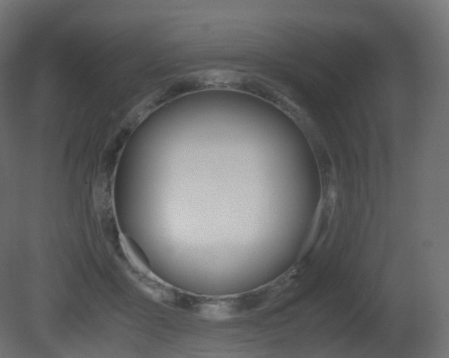 X0000081490411200701121117