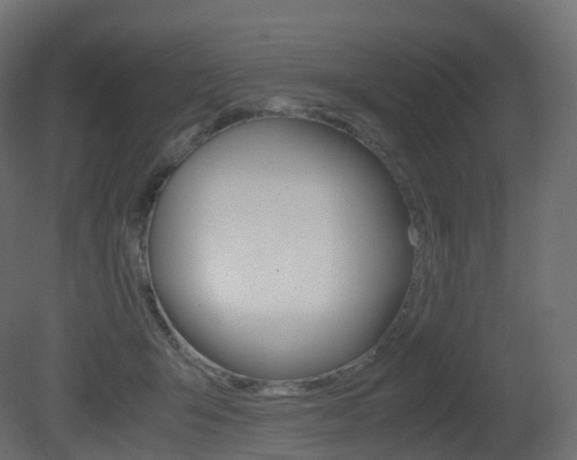 X0000081490415200701121117