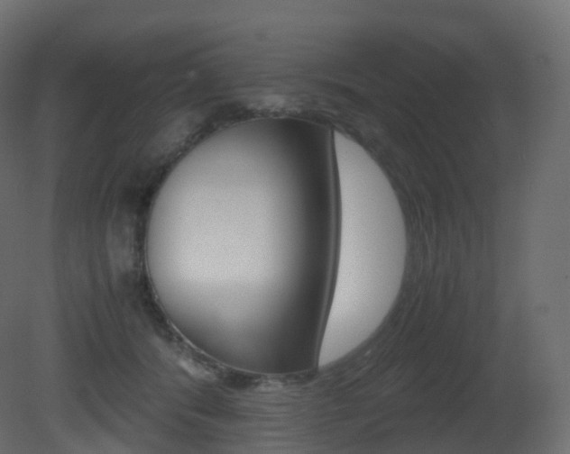 X0000081490416200701121117