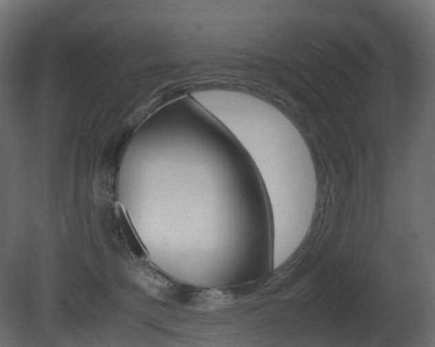 X0000081490421200701121117