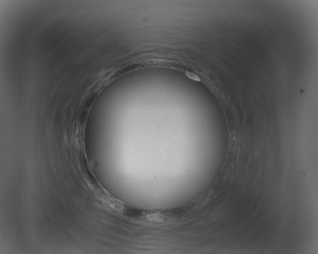 X0000081490423200701121117