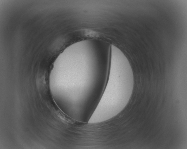 X0000081490424200701121117