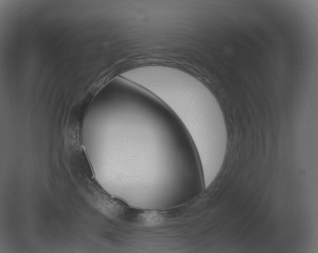 X0000081490425200701121117