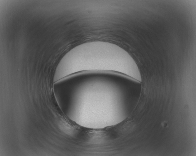 X0000081490428200701121117