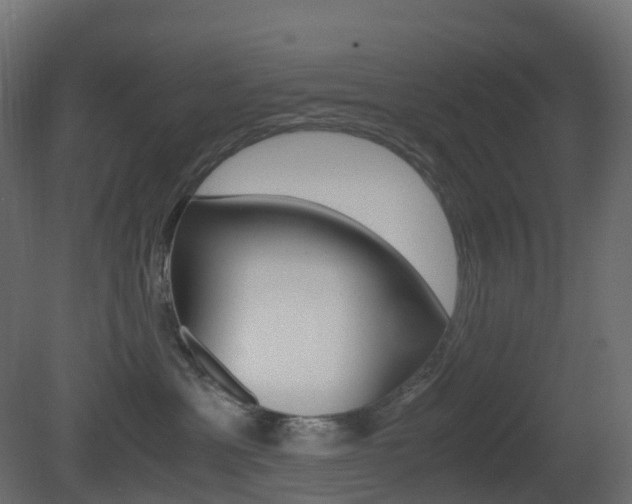 X0000081490429200701121117