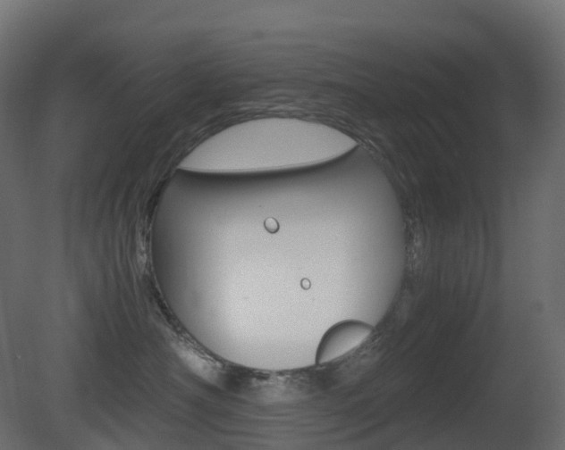 X0000081490430200701121117