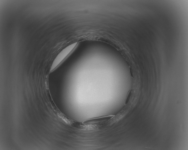 X0000081490432200701121117