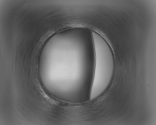 X0000081490433200701121116