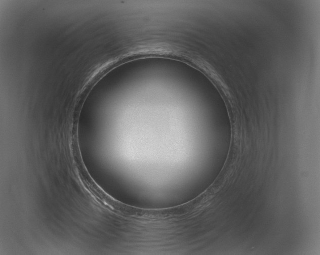 X0000081490434200701121116