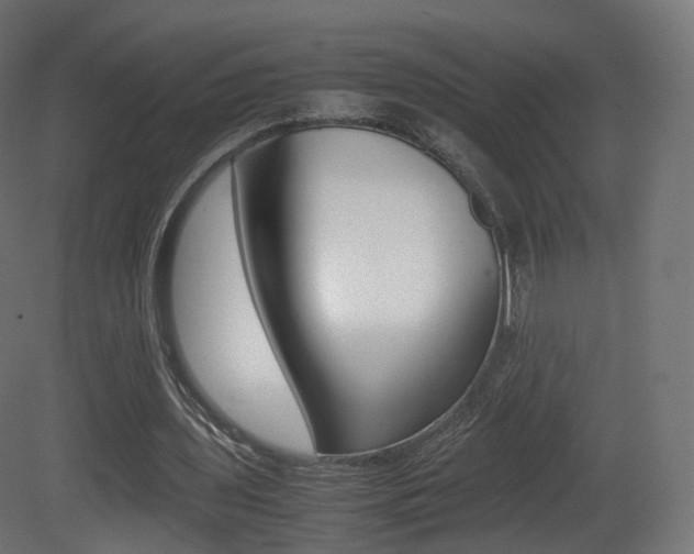 X0000081490435200701121116