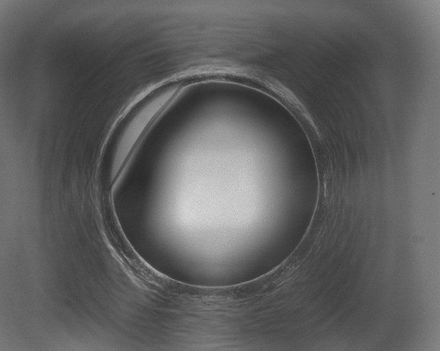 X0000081490436200701121116