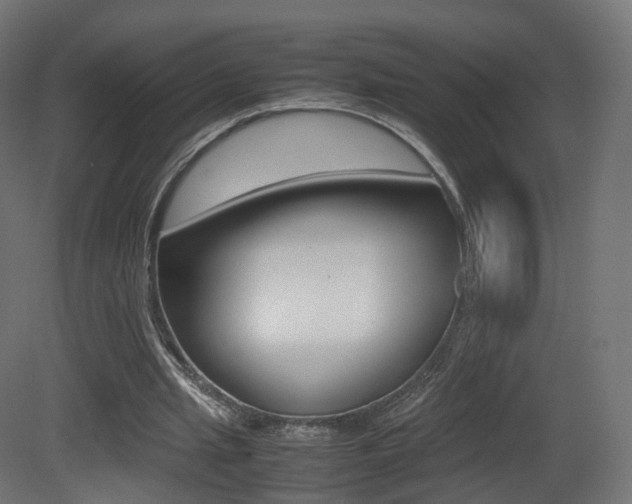 X0000081490437200701121116