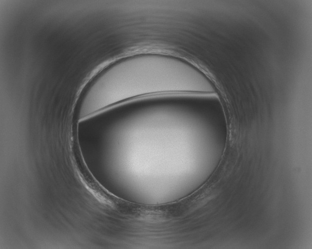 X0000081490438200701121116