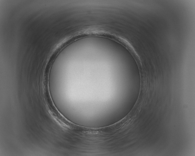 X0000081490439200701121116