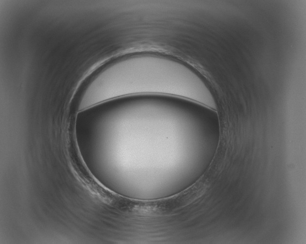 X0000081490440200701121116