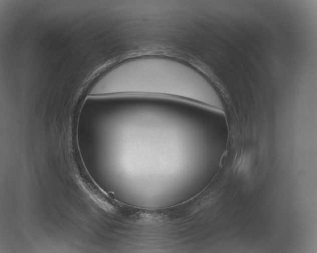 X0000081490442200701121116