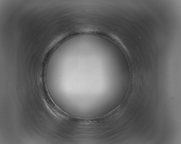 X0000081490443200701121116