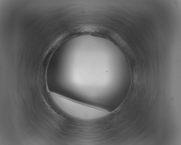 X0000081490444200701121116