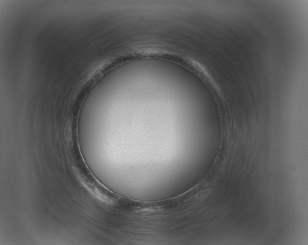 X0000081490447200701121116