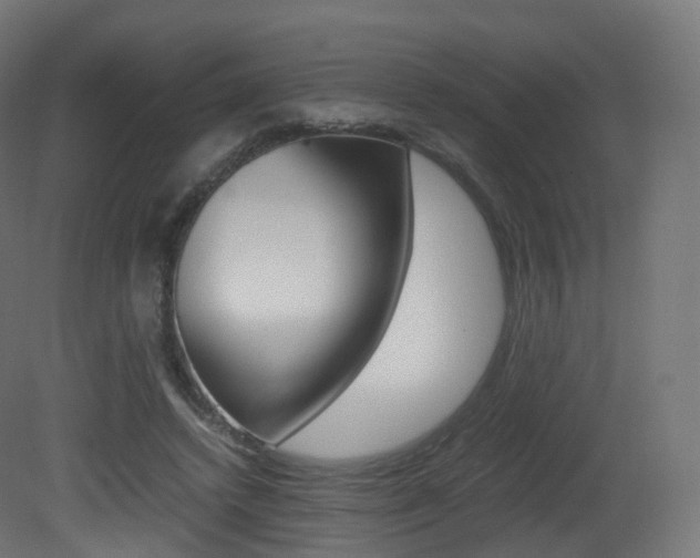 X0000081490448200701121116