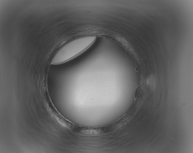 X0000081490449200701121116