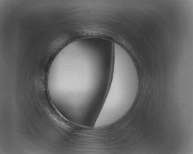 X0000081490450200701121116