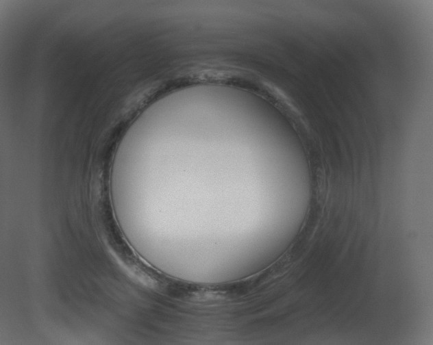 X0000081490451200701121116