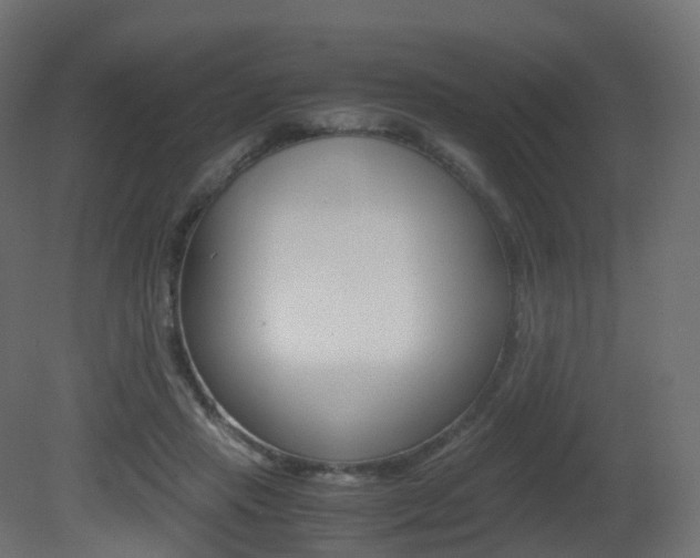 X0000081490453200701121117