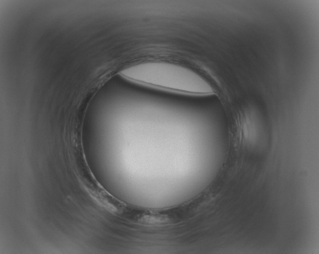 X0000081490455200701121117