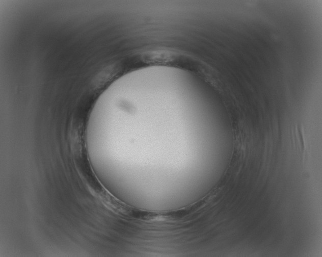 X0000081490460200701121117