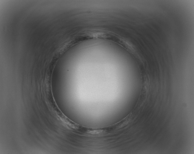 X0000081490461200701121117