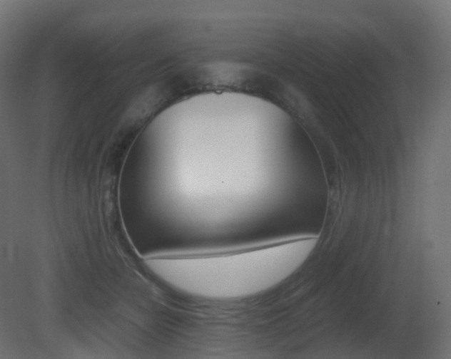 X0000081490462200701121117