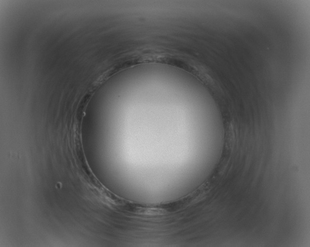 X0000081490463200701121117