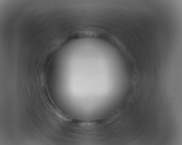 X0000081490465200701121117