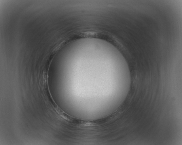 X0000081490467200701121117