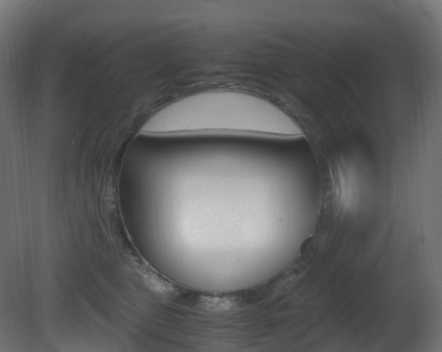X0000081490469200701121117